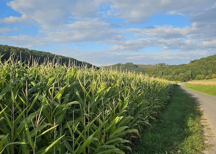 In Der Natur, 1-6 Personen, 3 Schlafzimmer, Spielplatz Διαμέρισμα